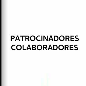 patrocinadores_colaboradores-es-300x300